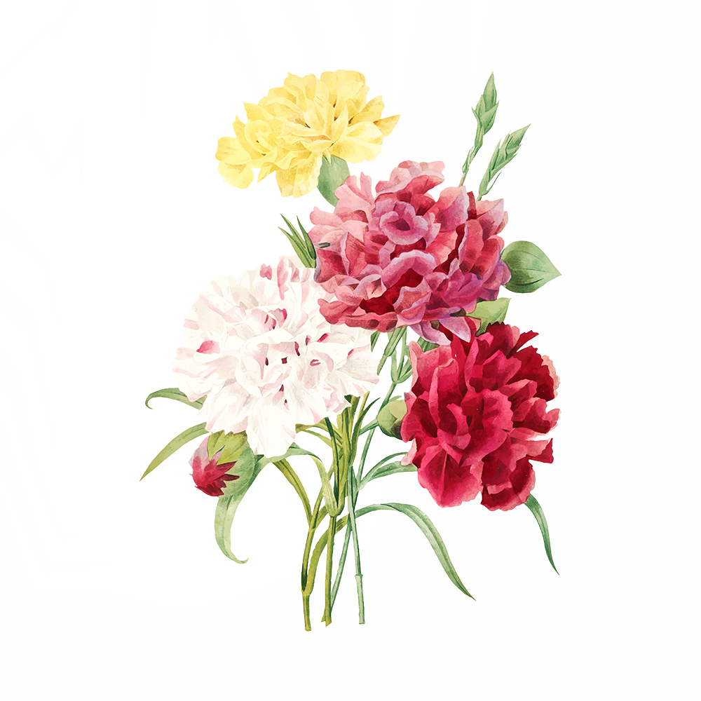 Image d'un bouquet de fleurs